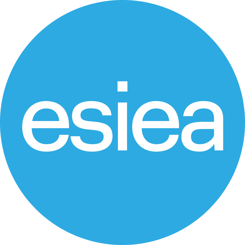 ESIEA Cybersecurity Program